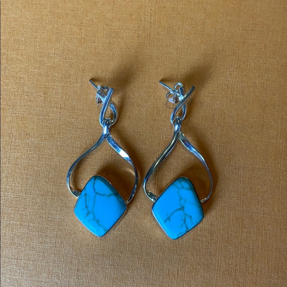Fashion earrings